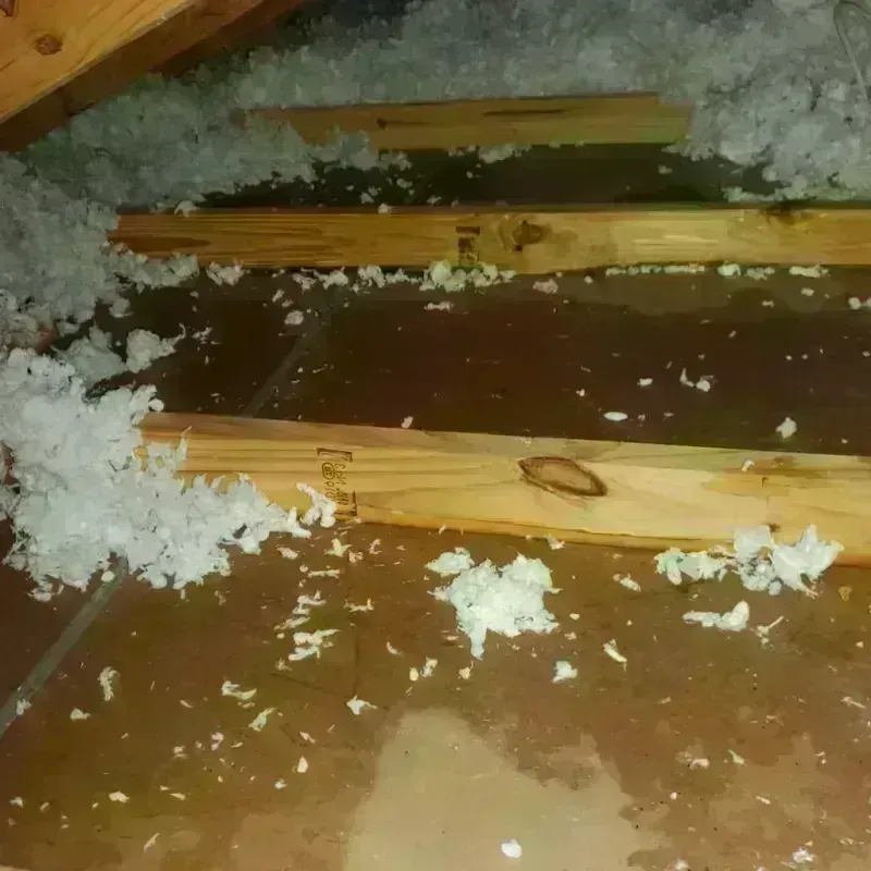 Attic Water Damage in Montgomery County, IA