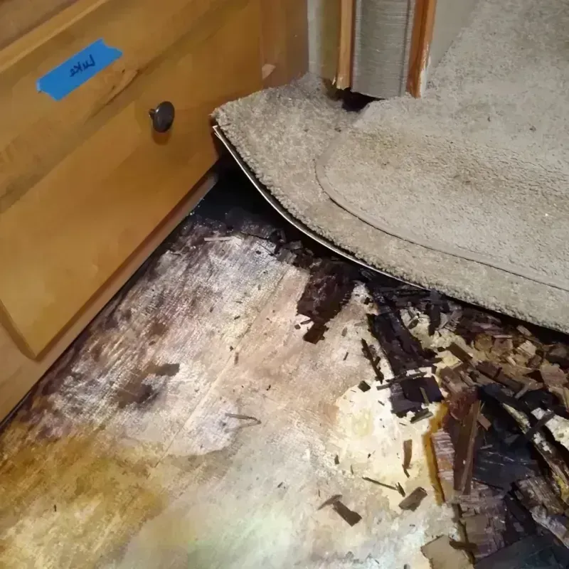 Wood Floor Water Damage in Montgomery County, IA